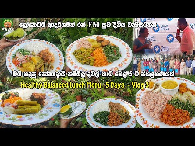 දවල් කෑම  වේල් 5ක්  පෝෂදායි සමබල - Healthy Balanced Lunch Menu 5 Days  Dawal Kema Menu Vlog 3