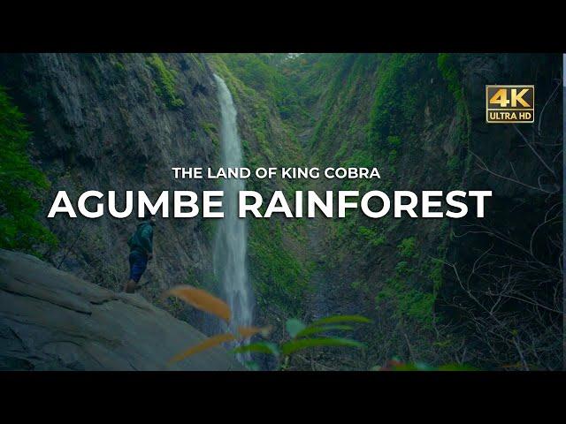 Agumbe Rain Forest | Land Of King Cobra | 4K | Vlog#70