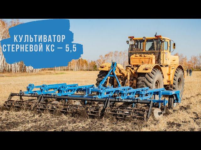 Культиватор Стерневой КС-5,5 #культиватор #плуг #диборэкспорт #сельхозтехника #скп #сеялка