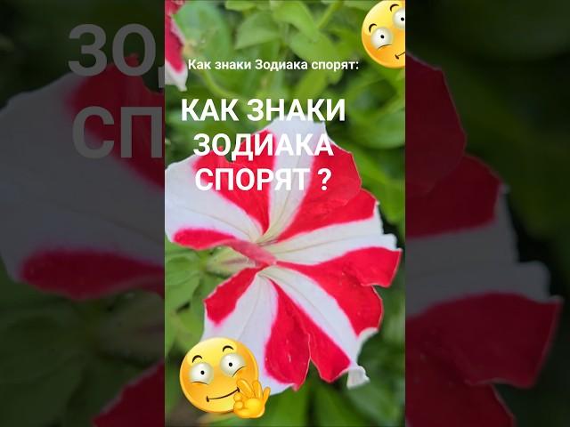 Знают, что не правы, но продолжают спорить всё равно / Эзотерика Гороскоп Астрология Знаки Зодиака