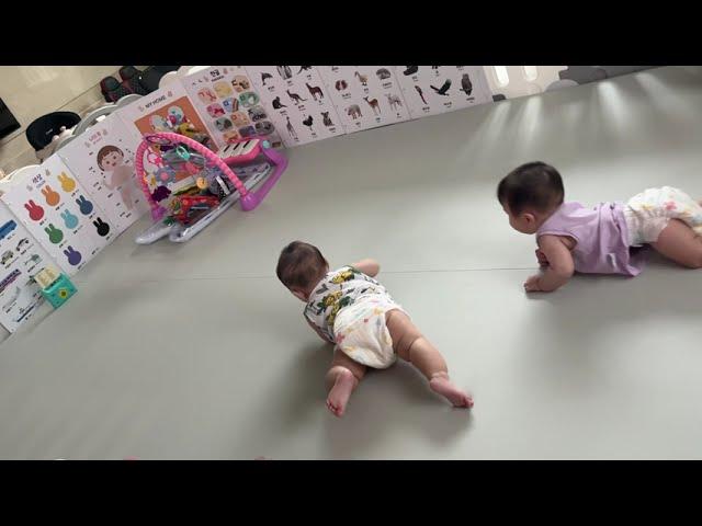 제1회 쭈니후니 기어가기 대회