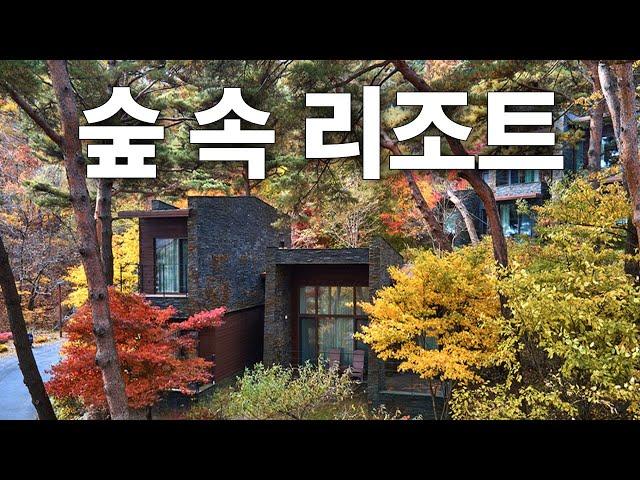 제천 포레스트리솜 힐링여행 - 숲속에서 즐기는 온천 스톤스파