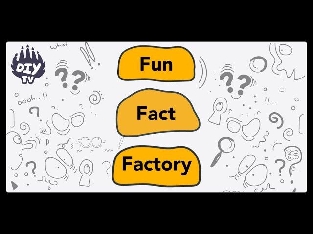 Fun Fact Factory | Awesome Facts For Kids | Cartoons | DIY TV