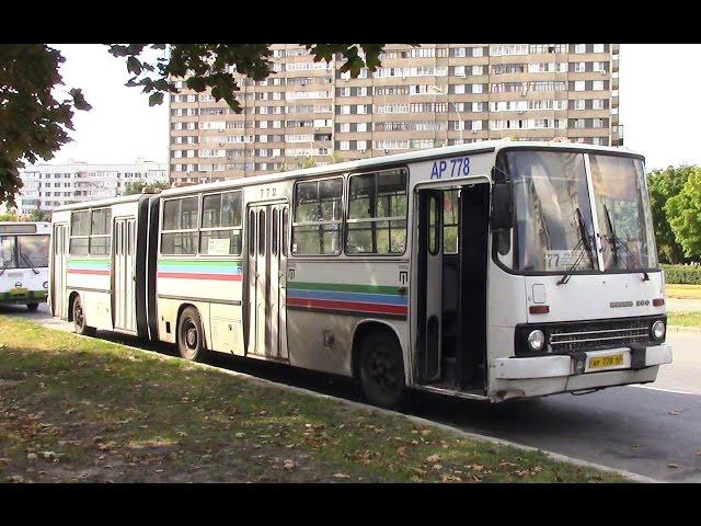 Обзор автобуса IKARUS 280 33 г Тольятти