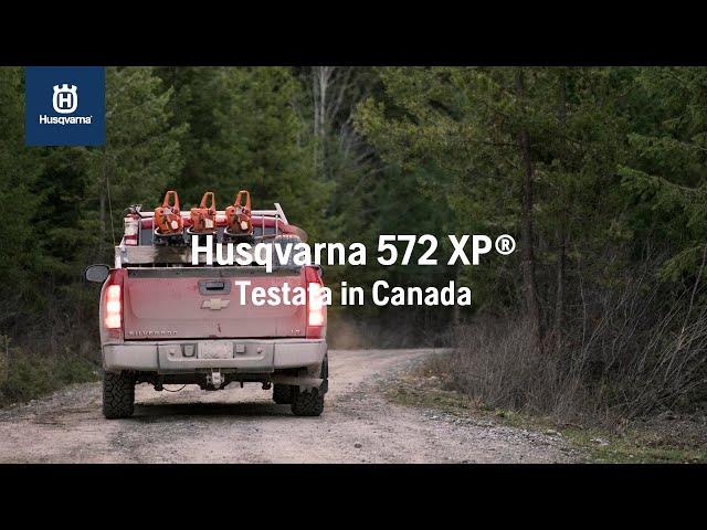 Husqvarna 572 XP® - Testata in Canada