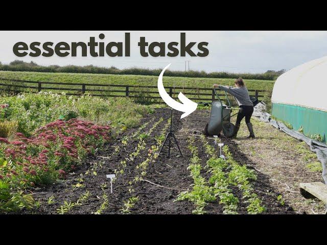 Preparing My Flower Farm For Winter. Overwintering Annuals 