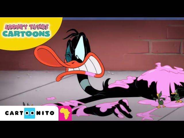 Looney Tunes Cartoons | Daffy Sticky Situation | Cartoonito Africa