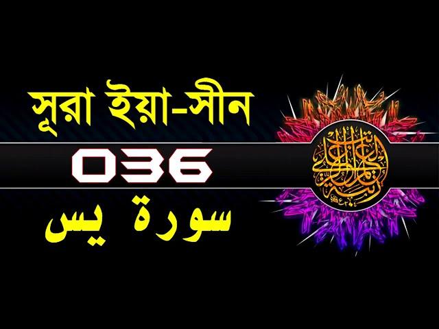 36 Surah Ya Sin with bangla translation   recited by mishari al afasy