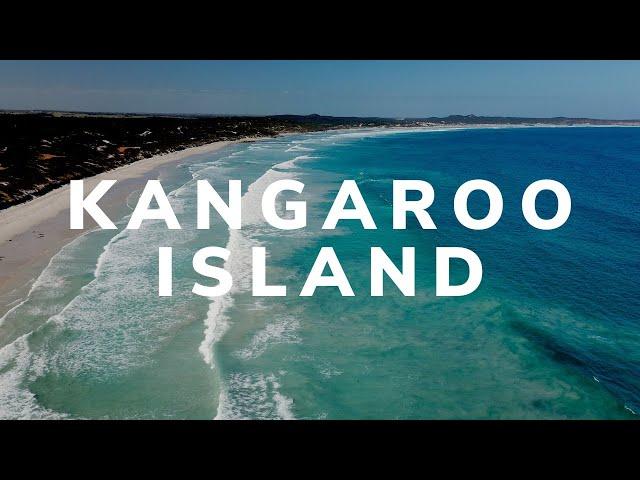 Kangaroo Island Road Trip!