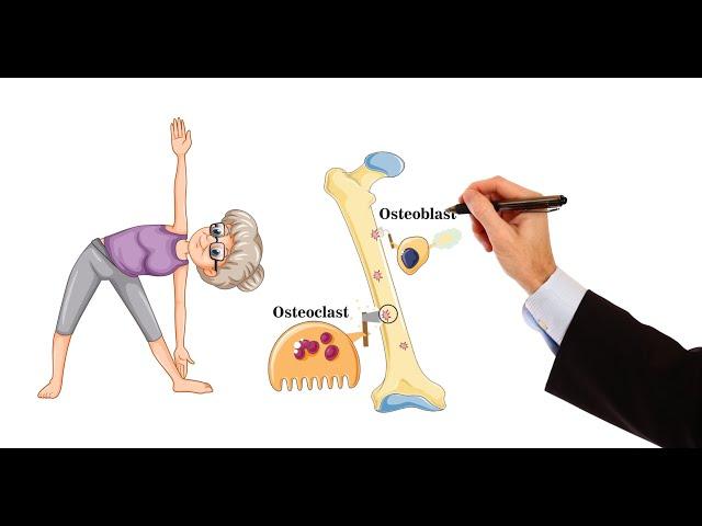 Pharmacology - DRUGS FOR OSTEOPOROSIS (MADE EASY)