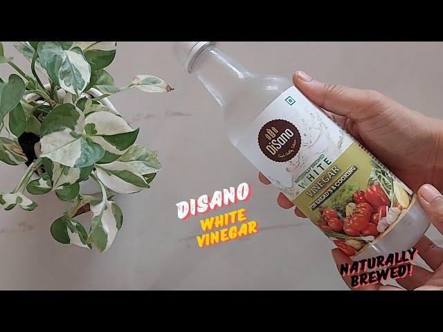 DiSano White Vinegar Review | DiSano White Vinegar Uses | DiSano Naturally Brewed White Vinegar