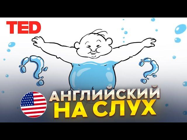 Английский на слух по видео TED-Ed | «Польза воды» | Онлайн-школа «Инглекс»