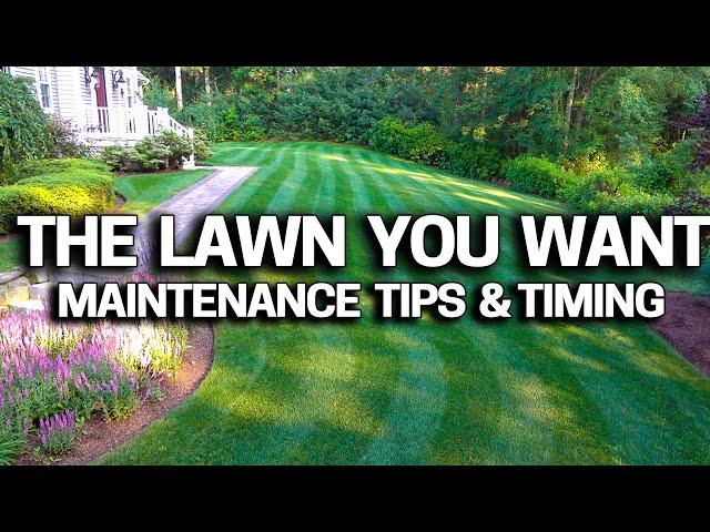 My Lawn Care Schedule - What I do, When