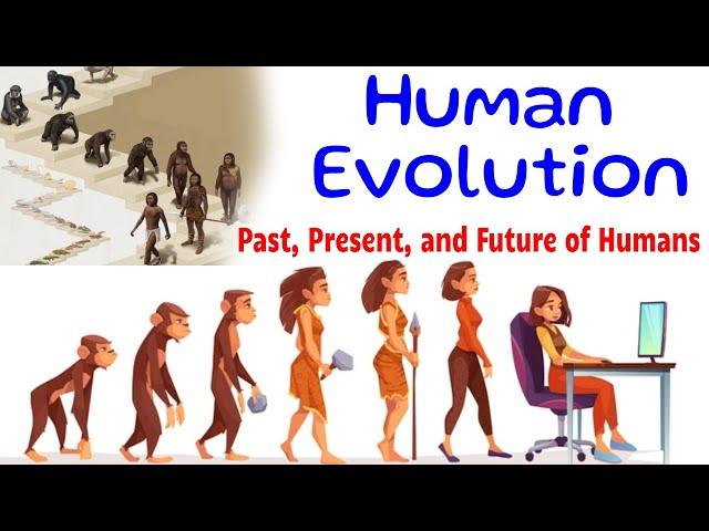 Human Evolution - The Evolutionary Journey Past, Present, and Future of Humans