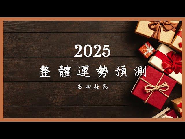 理科塔羅。即將到來的2025：整體運勢預測。【誠實豆沙包Alert!!】