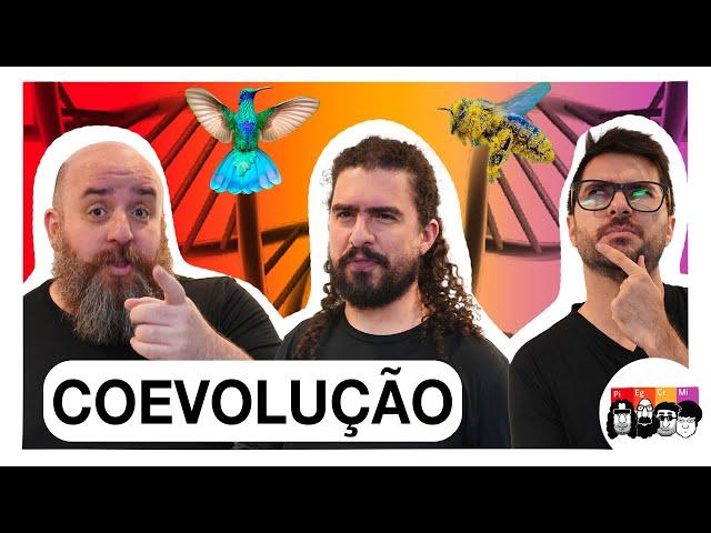 Por que certas FLORES são PERFEITAS para seus POLINIZADORES?