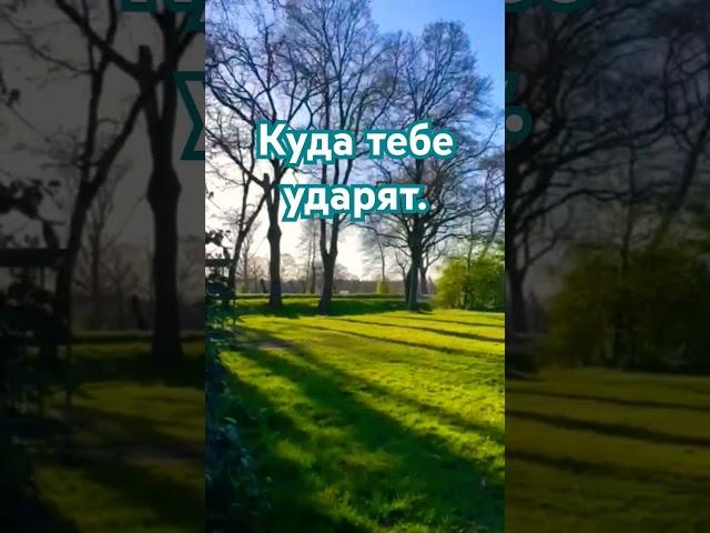 Куда тебя ударят люди.#цитатыпрожизнь #цитатыосмысле