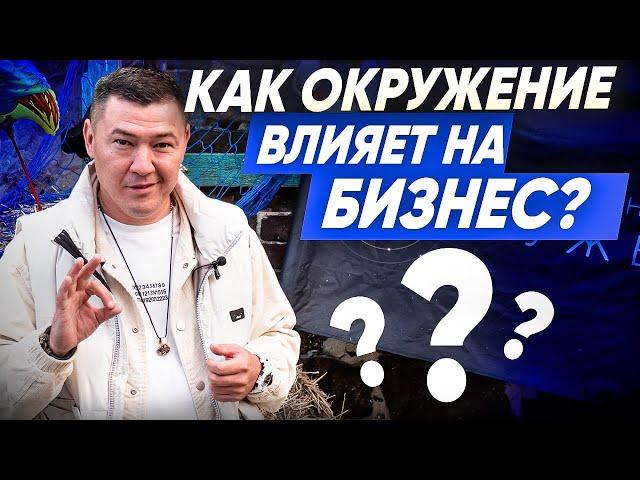 КАК ОКРУЖЕНИЕ влияет на бизнес ?  Важность окружения в бизнесе. Что дает окружение ?