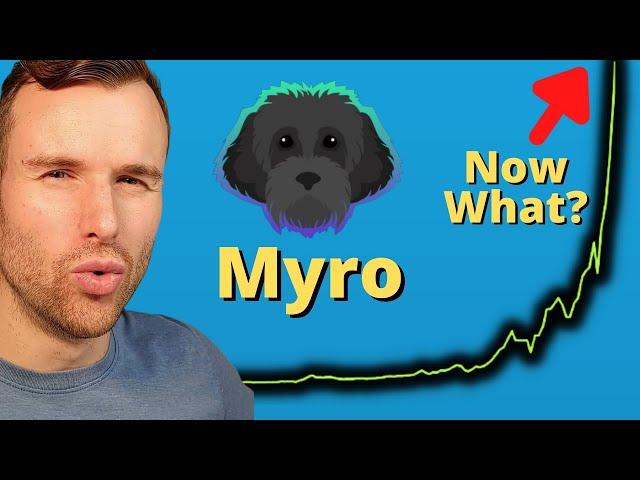 How long can the Myro token rise?  Solana Memecoin Analysis