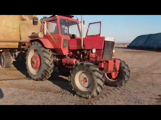 mtz 82
