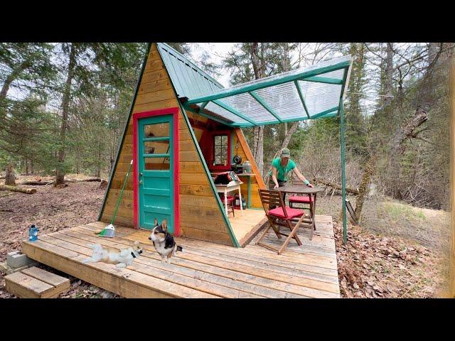 Spring cleaning my wilderness cabin- CALM VIBES & JUNGLE NIGHTS