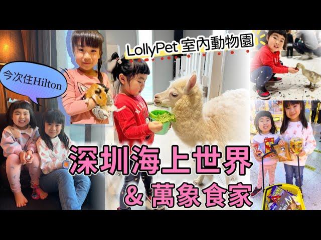 深圳海上世界｜Hilton Shenzhen Shekou Nanhai 開箱｜萬象食家 ｜Lollypet ￼室內動物園｜ 北上親子旅遊 ｜北上消費