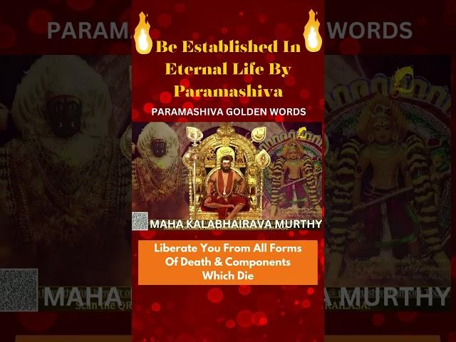 Be Established In Eternal Life By Paramashiva #Nithyananda #Liberation #shorts