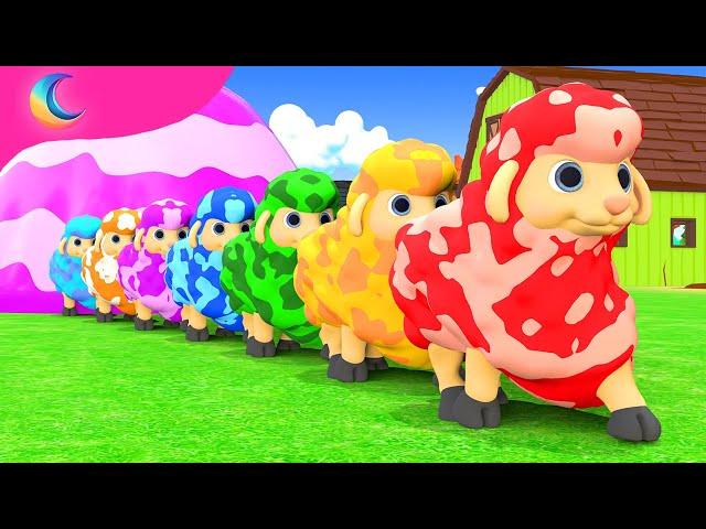 Baa Baa Black Sheep! | BluLoo Nursery Rhymes & Kids Songs