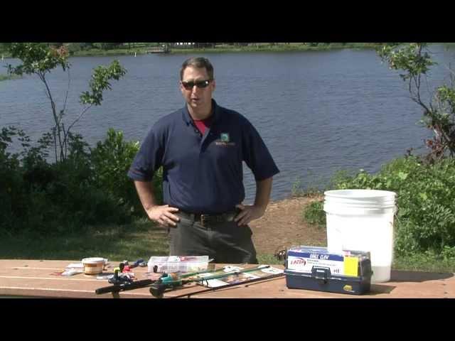 Fishing Basics: How to Get Started