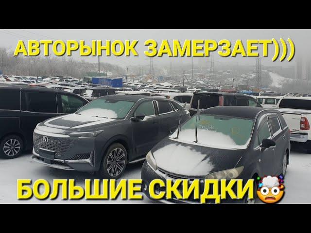 АВТОРЫНОК ЗАМЕРЗАЕТ, БОЛЬШИЕ СКИДКИ СЕГОДНЯ, ВЛАДИВОСТОК ЗЕЛЁНЫЙ УГОЛ 2024