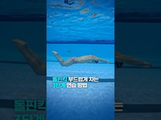 돌핀킥 부드럽게 차는 3단계 연습 방법!#swimming #swimmer #수영선수 #수영 #Swimming #swimgym #swimlife #swimrun