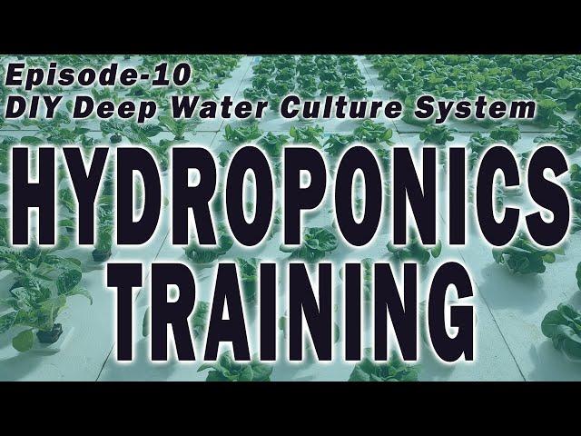 Hydroponics Training - Episode 10 (DIY Hydroponics Deep Water Culture) Hydroponic Farming Training