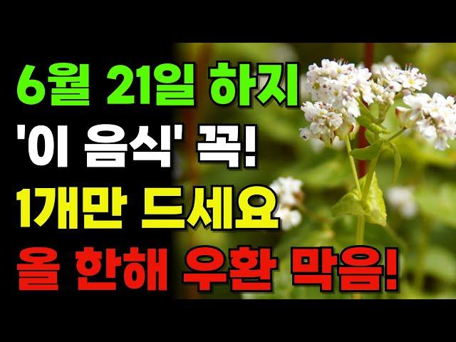 6월 21일 하지 '이 음식' 꼭 드세요. 올 한해 운이 풀리고 재물복을 부릅니다.  #재물운 #하지 음식 #풍수지리 #건강운 #금전운 #하지 #하지음식 #하지풍수 #하지 풍수