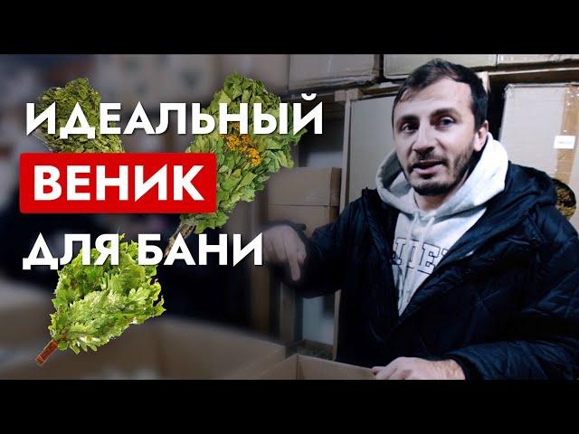 ДУБОВЫЙ ИЛИ БЕРЕЗОВЫЙ ВЕНИК? / Как выбрать веник для бани? / Идеальный веник для парения! / Баня