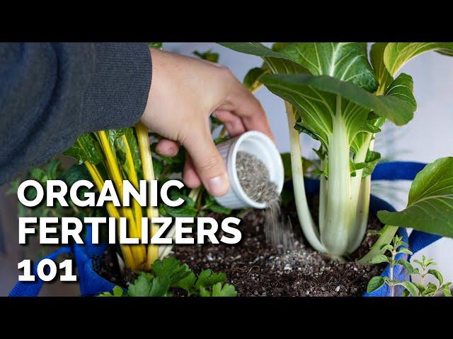 14 Organic Fertilizers and How to Use Them