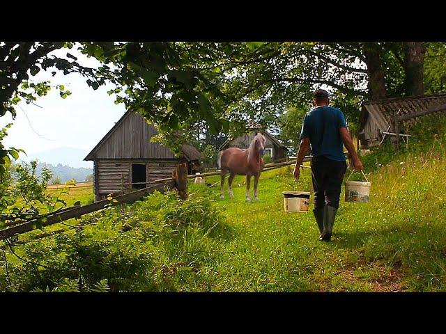 The life of an elderly couple high in the mountains is far from civilization.