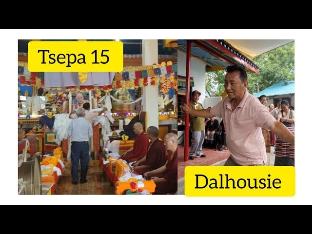 Tsepa 15 celebration in Dalhousie #tibetanvlogger #tsepa15 #tibetan #tibetanmarket #dalhousiediaries