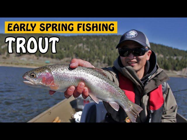 EARLY SPRING FEEDING FRENZY - FLOAT FISHING FOR RAINBOW TROUT WITH PAUTZKE BAIT | Fishing with Rod