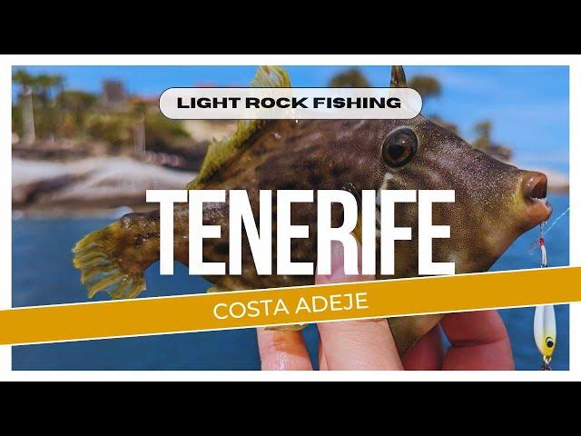 Light Rock Fishing in Tenerife (Costa Adeje) Part 1