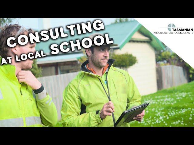 ARBORICULTURE CONSULTING AT LOCAL SCHOOL