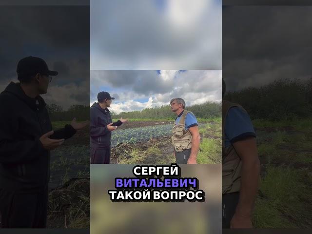 Сколько заработать на овощеводстве в Казахстане  #бизнес #теплица #фермер #ферма  #фермерство