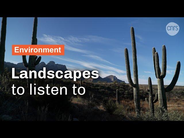 Landscapes to listen to | CNRS in English