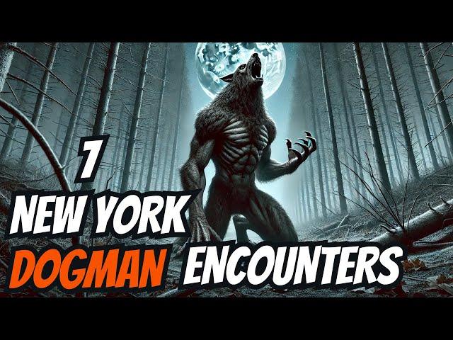 7 New York DOGMAN Encounter Stories