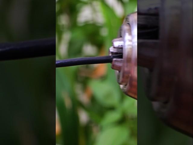 Remember this Tip! How to strip an electrical cable? #shorts #japan #russia #electricaltips #yt