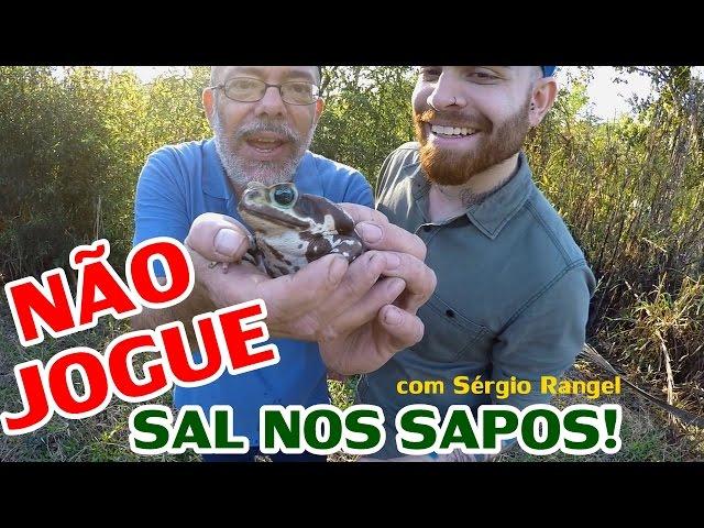 NÃO JOGUE SAL NOS SAPOS! (com Sérgio Rangel)