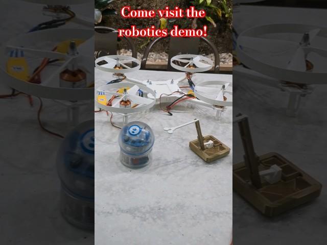 Different robots we've built! Robot Demo at our school today!