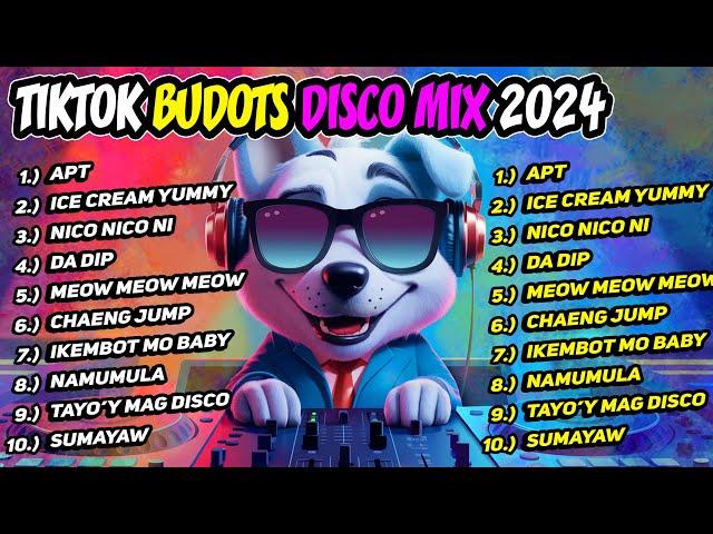 NEW TIKTOK BUDOTS DISCO PARTY 2024 - DJ ROWEL DANCE MIX