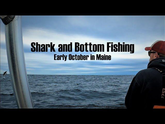 Thresher Shark and Bottom fishing, early October in Maine. Haddock, Pollock and Blue Sharks.