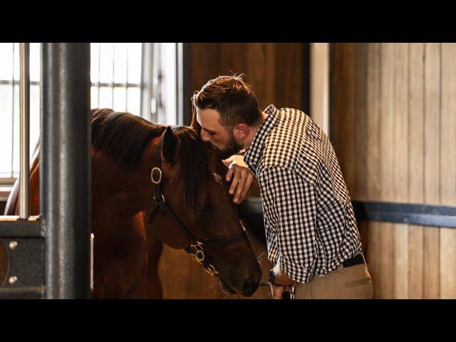 Lot 76: 2025 Inglis Easter Yearling Sale Snippet
