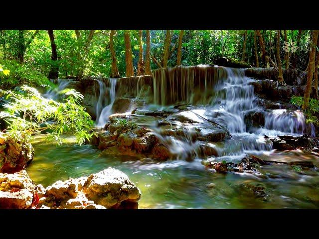 Relaxing waterfall sounds, Cascade waterfall in jungle. White noise for sleep, relax, study